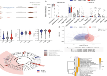 Geno Diet Plan: Easy Steps for Weight Loss Success