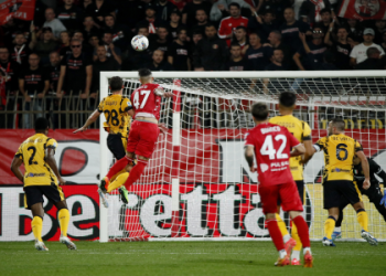 Monza vs Fiorentina Match Prediction: Latest Team News and Updates