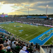 yulman stadium capacity: how many people can fit in yulman stadium and what to know about it?