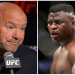 The Truth About Ngannou Power: Dana White Reveals All