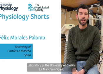 Kay Hansen Nude Images: Are These Pictures Easily Accessible?