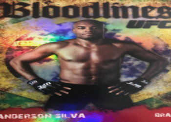 Anderson Silva Nickname: Why Is He Called The Spider?