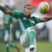 Palmeiras vs: Live Scores, Updates and Match Highlights!