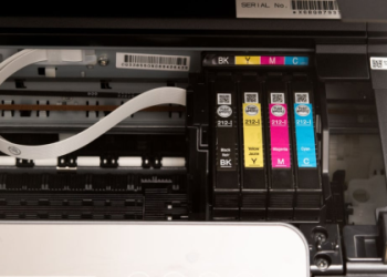 Tank Dell Net Worth: A Look at His Financial Life